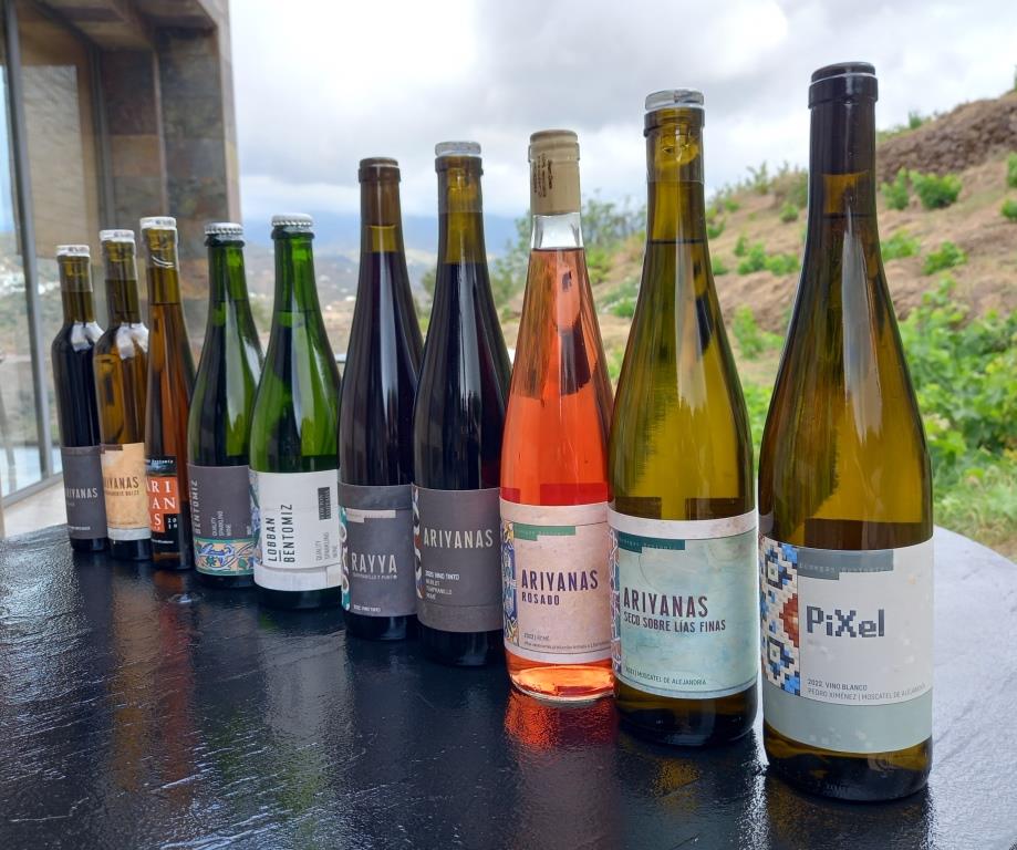 Bodegas Bentomiz Wines